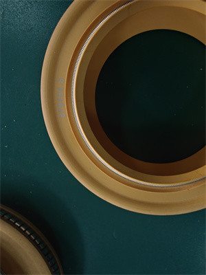 ซีลริมฝีปากโพลีอิไมด์ ซีลริมฝีปาก PTFE ซีลเสริมสปริงสำหรับซีลน้ำมันยางของปั๊มหมุนเหวี่ยงประสิทธิภาพสูง