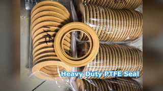 ซีลน้ำมัน PTFE สำหรับงานหนัก